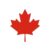 Maple